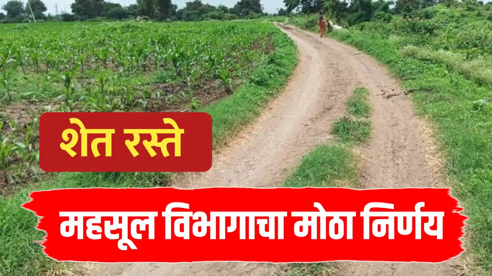 महसूल विभागाचा मोठा