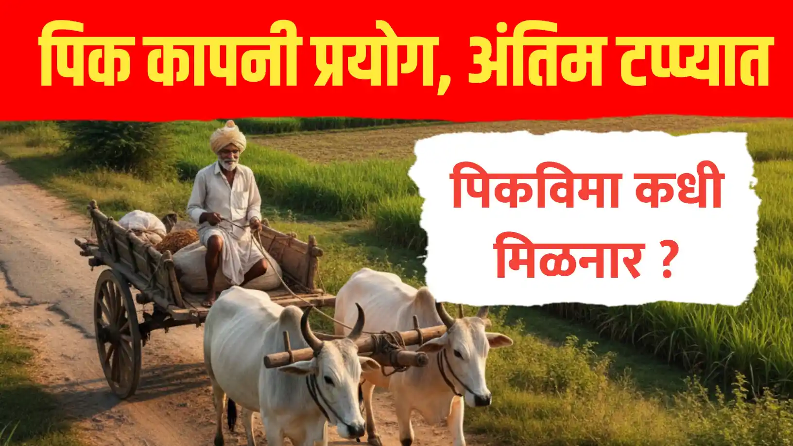 पिकविमा कधी मिळनार