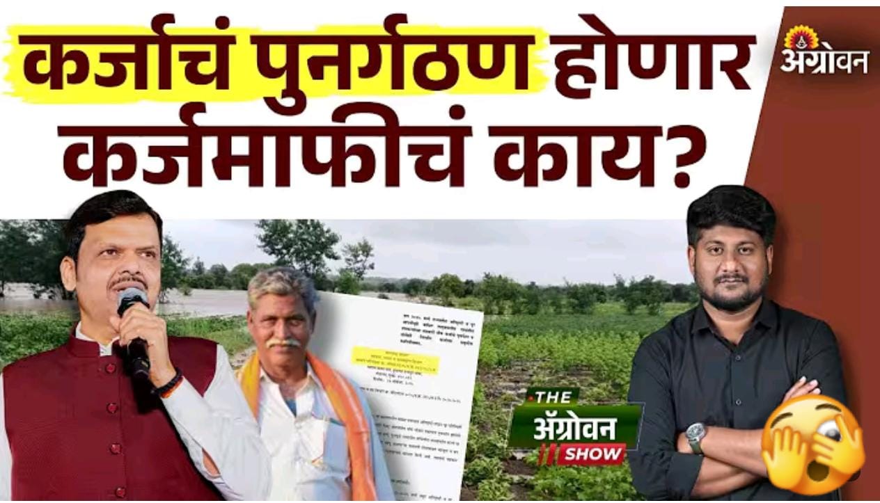 पिककर्जाच्या पुनर्गठनामुळे