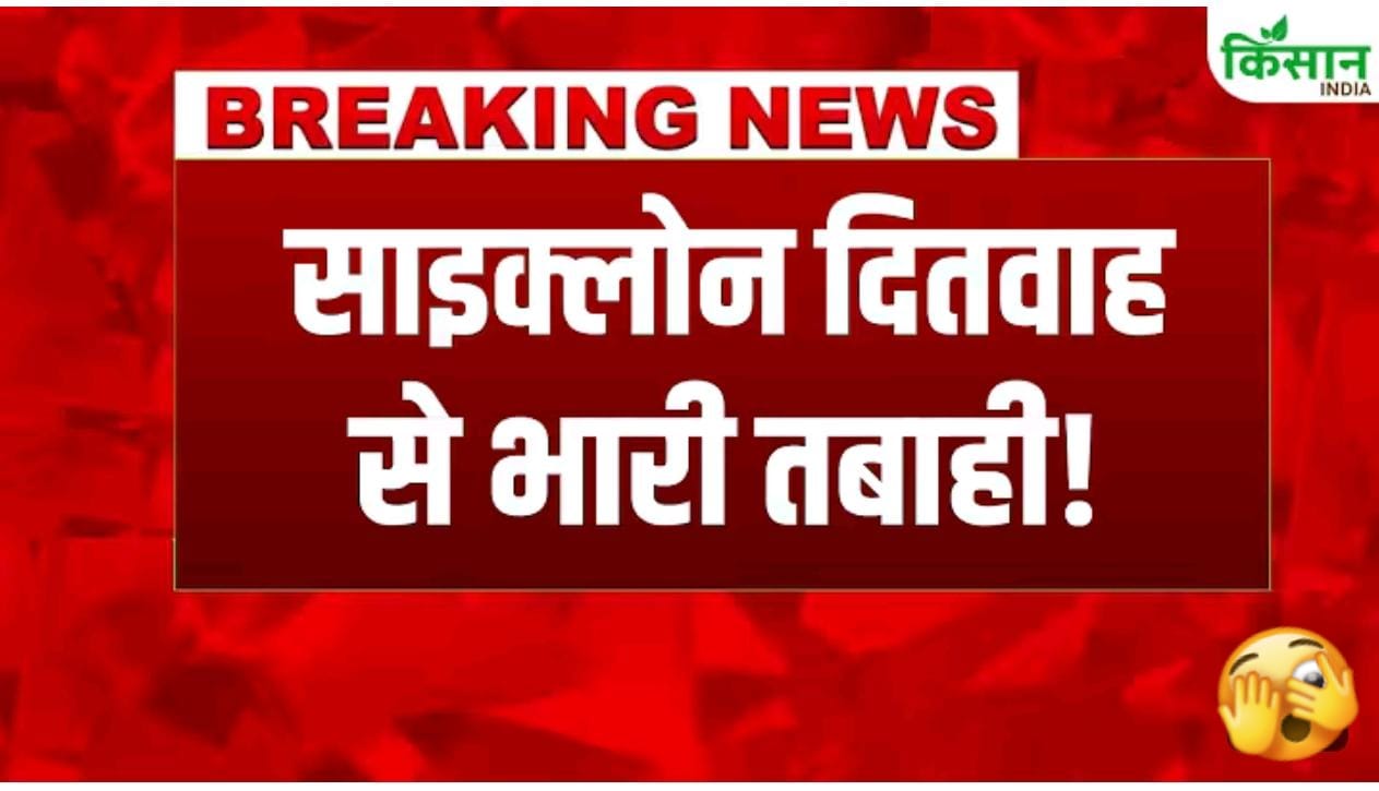 सायक्लोन 'दितवाह' से भारी