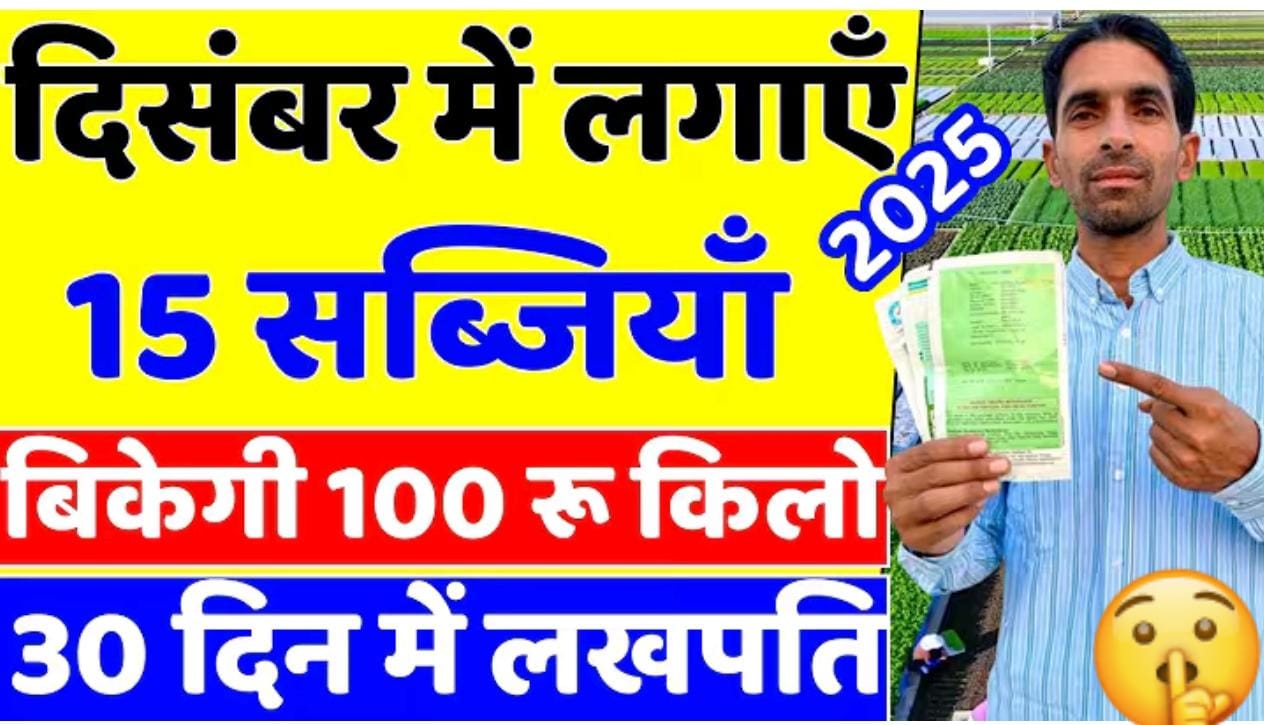 दिसंबर मे लगायें ये सब्जीया, बिकेगी 100₹ किलो, 30 दिन मे मालामाल…