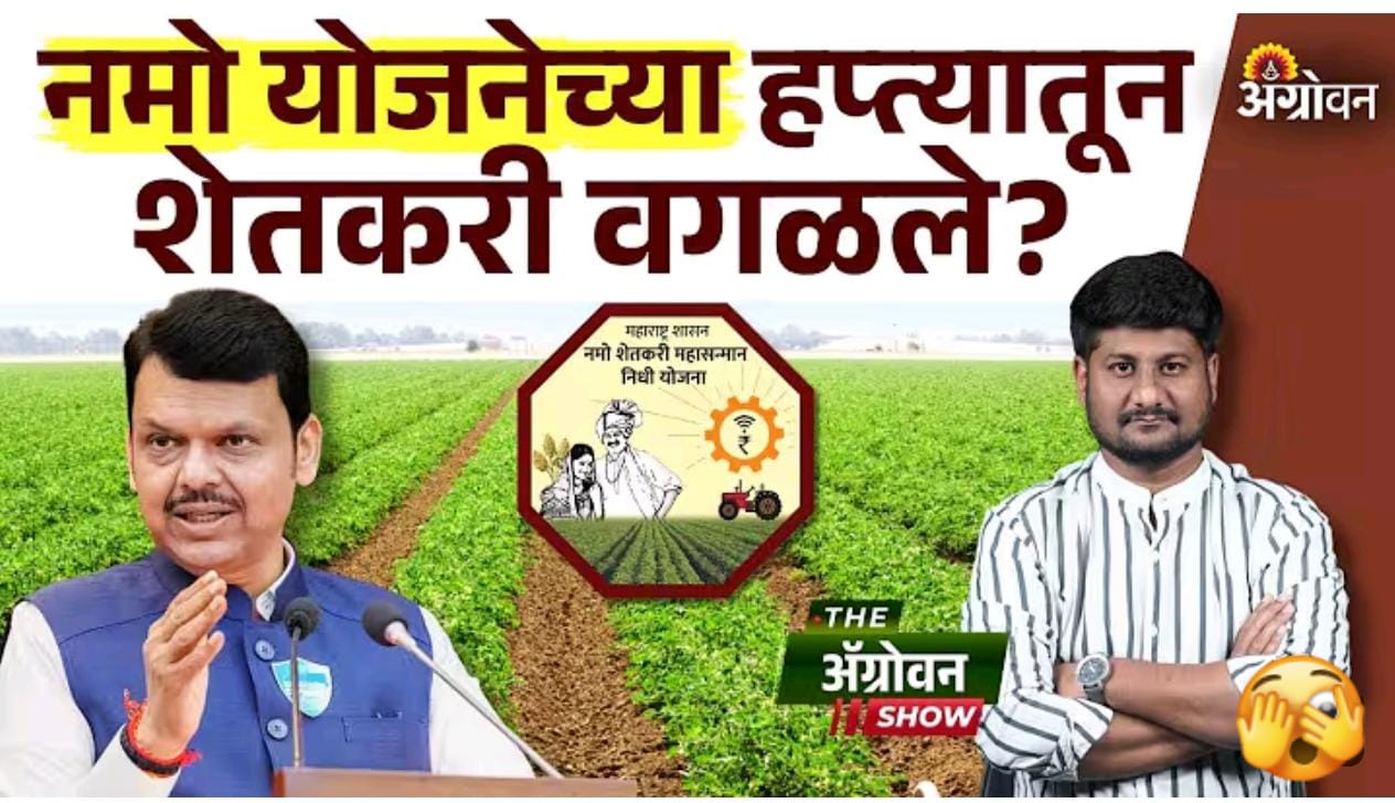 नमो शेतकरी सन्मान