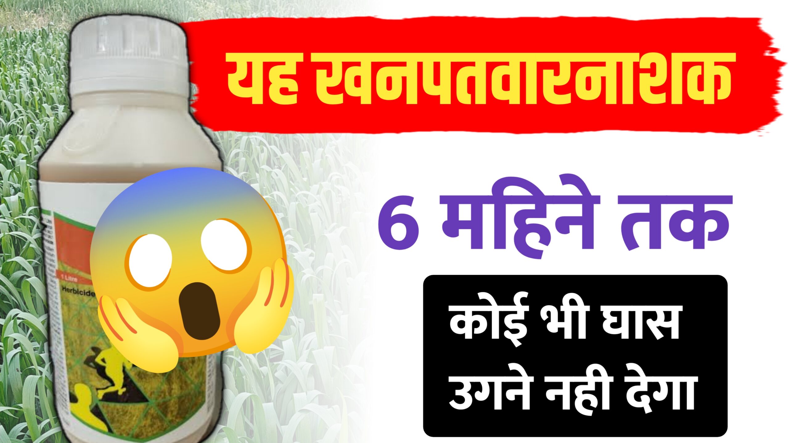 यह हर्बिसाइड एक स्प्रे में 6 महीने तक खेत में घास को उगने से रोकता है