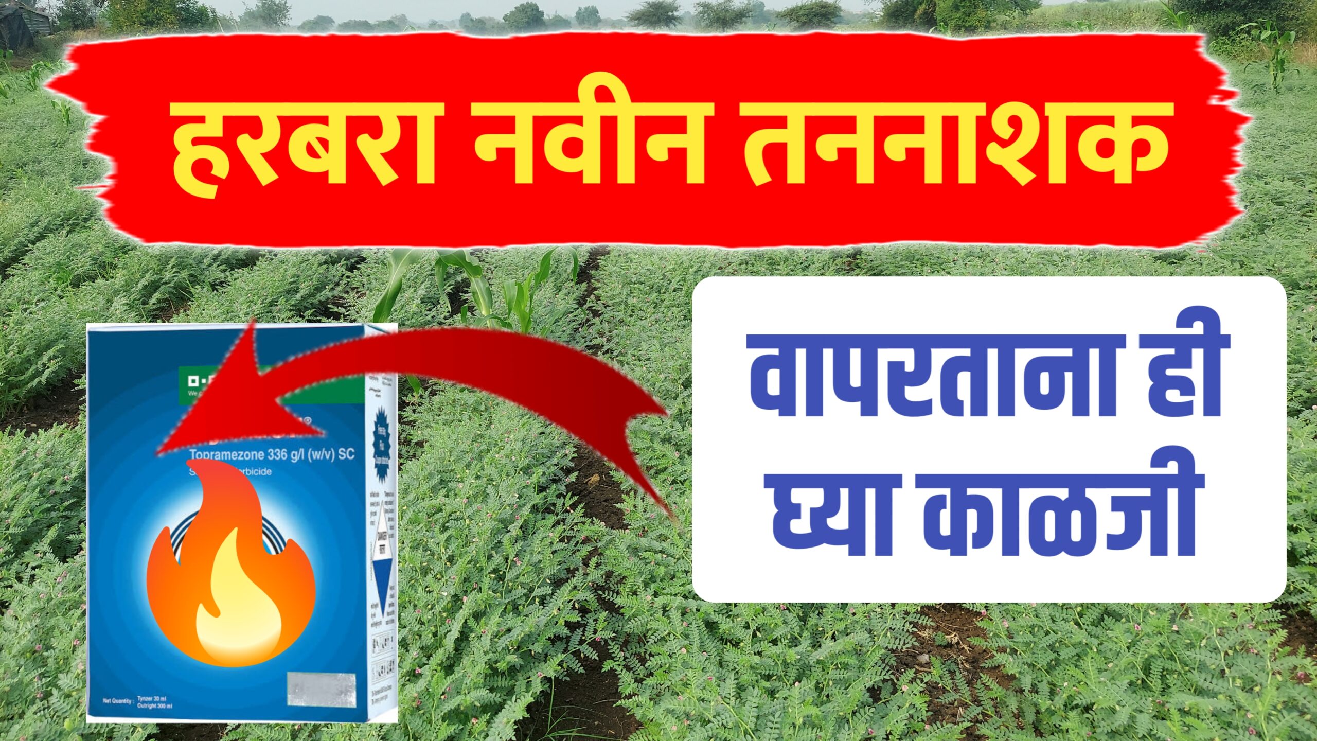 हरबरा नवीन तननाशक ; पहा