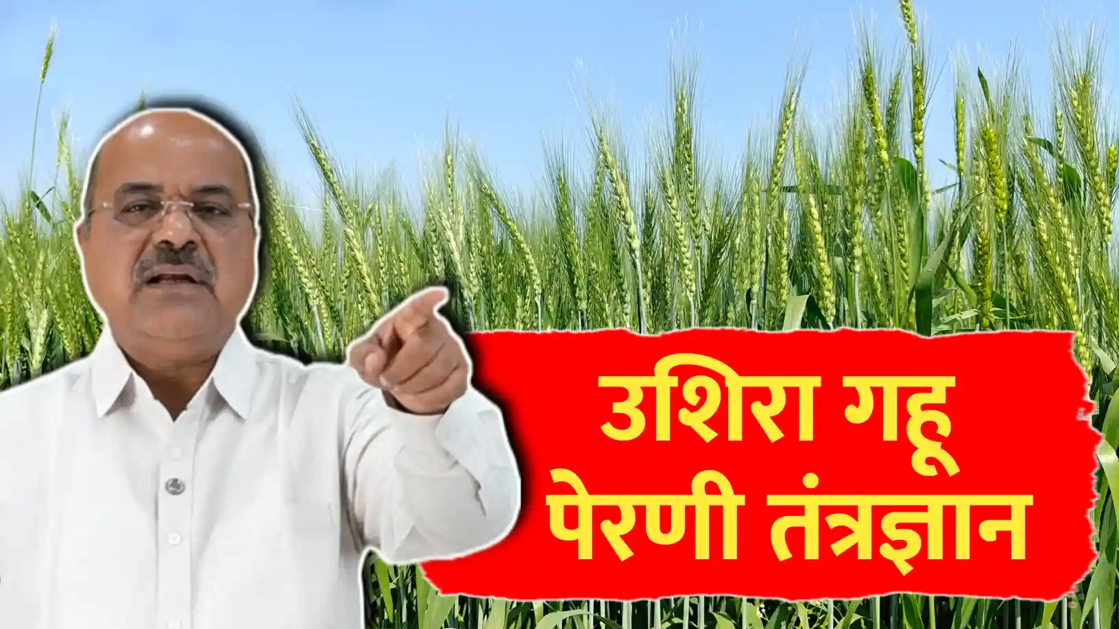 गजानन जाधव यांचे उशिरा गहू