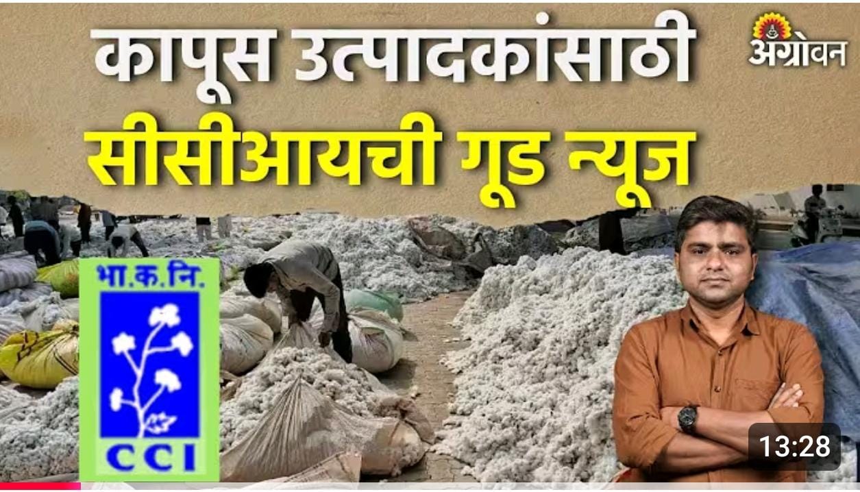 कापूस उत्पादकांसाठी